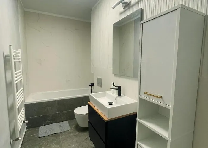 Arena Μπρασόβ